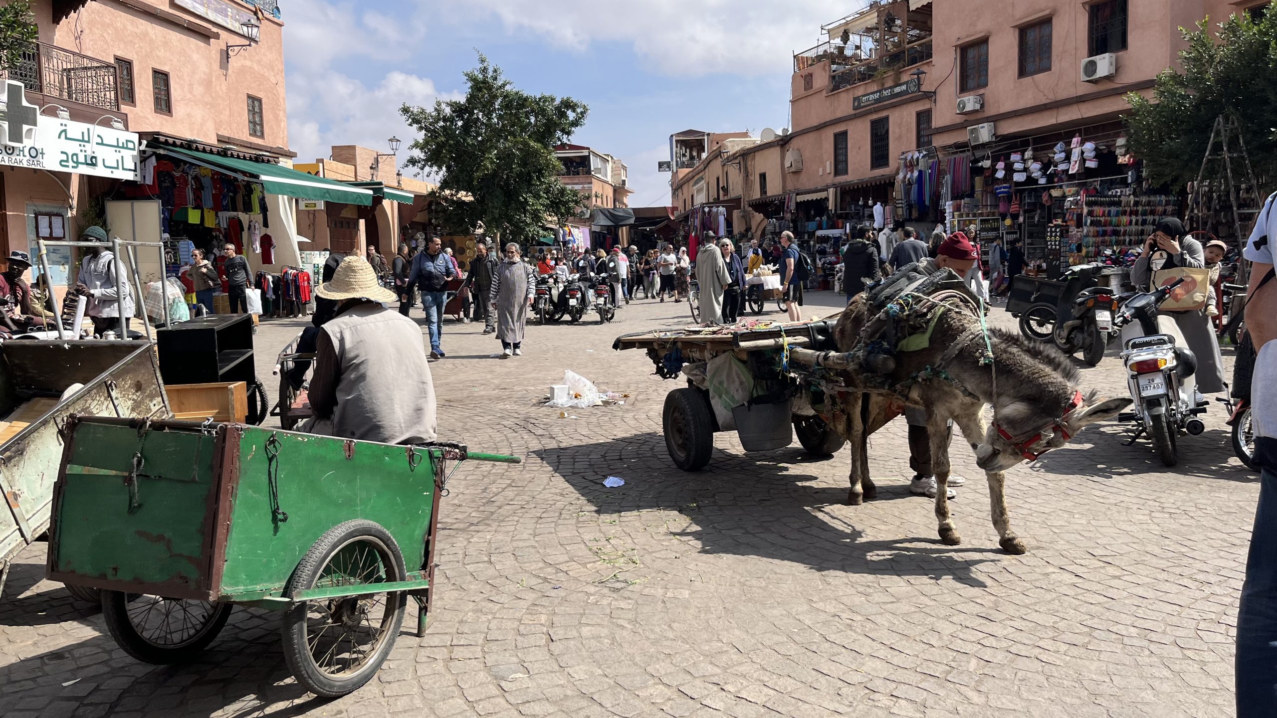 bruisend-straatbeeld-medina-marrakech-ezel-kar